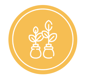 שיפור בבריאות